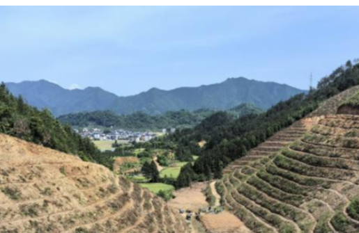 㽭ʱǲ԰ߺϴĶԴĿֲ